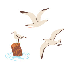The seagull bird set. Gulls in flight, sitting on wood. Peace, freedom symbol. Hand-drawn vector isolated illustration.