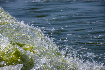 Sea wave with spray and foam near the shore