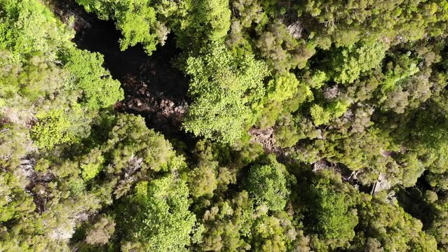 Aerial footage of spectacular jungle river falling into waterfall.