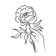 Anemone flower in a tender hand. Female hand holding rose flower. Line art, line drawing, contour, linear. Isolated vector black and white illustration. Tattoo design. Logo idea. Peony