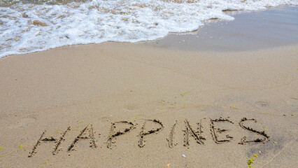 The words Happiness is written in the sand on the beach with a wave washing