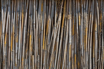 Reed background. Fence from reed. Texture of reed