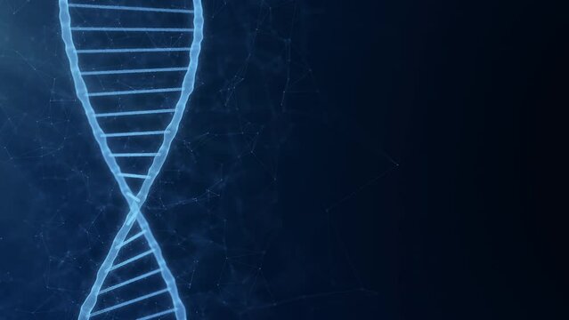 Dna molecule background with copy space for scientific project and biotechnology infographic. Seamless loop animation with dna helix strand blue empty space. Genetic research concept with gene code.