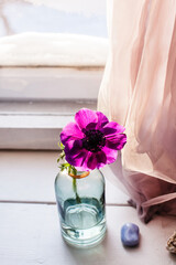Obraz na płótnie Canvas Very Peri color anemone flower in the vase