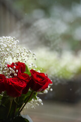 red roses and white tiny flowers in vase against glass of window valentines day or anniversary celebration love romance and  romantic mood vertical format with room for type symbolizing relationship 
