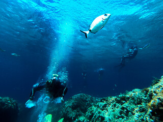scuba diver and reef