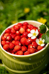 strawberries in the green cup