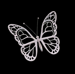 Beautiful white butterfly on a black background. Isolate the butterfly.