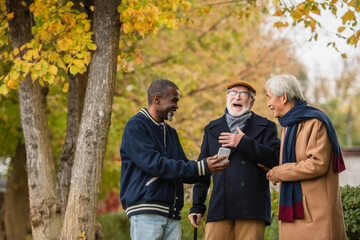 Multiethnic senior men standing near african american friend showing smartphone in autumn park.