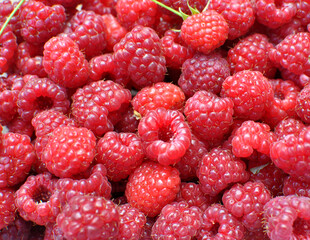 Background with raspberries
