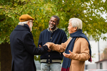 Interracial senior men shaking hands near african american friend in autumn park.
