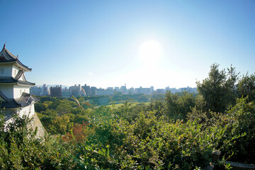 Fototapete bei efototapeten.de bestellen   