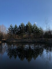 Fototapeta na wymiar lake & trees