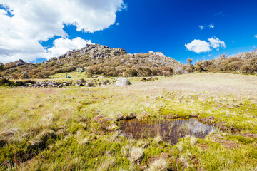 Fototapeta na wymiar Summer Landscape at Mt Buffalo Australia