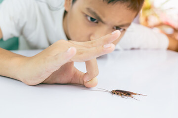 The boy was about to use his hands to get rid of cockroaches from the table in the white kitchen.