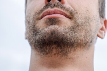 Obraz premium Bearded male chin. Beard on the face of a young man.