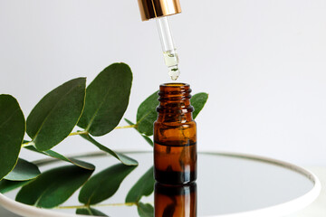 Serum oil is dripping from dropper. Bottle of cosmetic essential oil with dropper and eucalyptus leaf close-up. Serum skin care products. Beauty concept