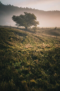morning in the mountains