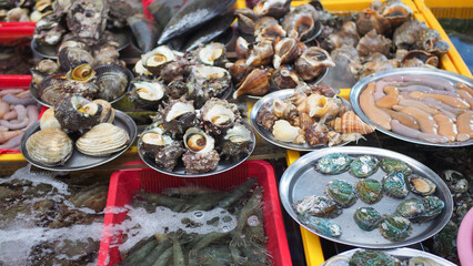 shellfish