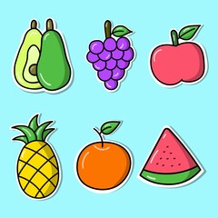 hand drawn of fruit sticker vector collection