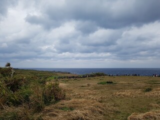 person walking on the beach
