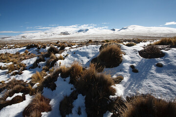 Landscape of the puna of Peru, snowy and ichu plants