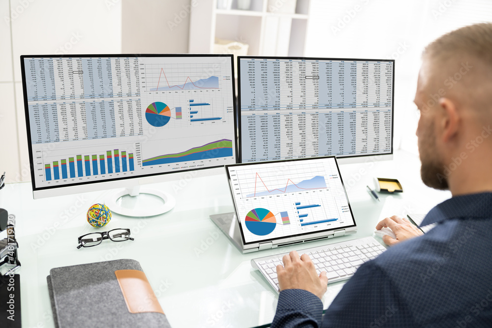Poster analyst working with spreadsheet business data