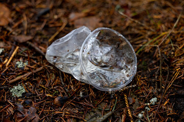 Plastic cup in the spring forest. Plastic garbage in nature. Spring forest with garbage. Ecological catastrophe. Pollution of the environment with garbage.