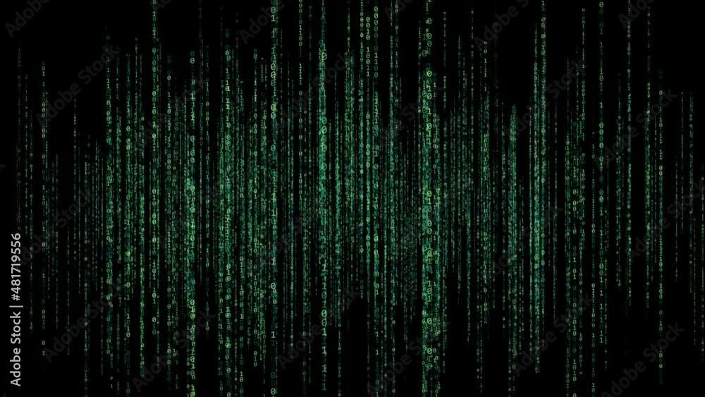 Wall mural green matrix raining binary code - black background - animation