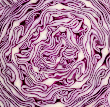 Purple Cabbage Texture