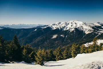 Winter mountains remnants of snow, spring, coniferous forest