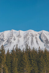 A picturesque vertical landscape view of the French Alps mountains on a cold winter day (La Joue du Loup, Devoluy)