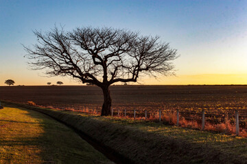 sunset in the countryside