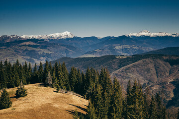 Snow-capped mountains, deforestation and coniferous forest, spring, winter