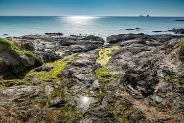 Fototapeta na wymiar Closeup of coastal rocks with Trevose Head in the background,Booby's Bay,North Cornwall,England,UK.