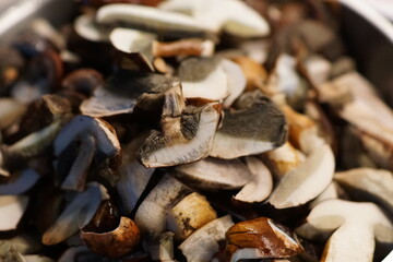 Collected and washed mushrooms