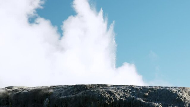 Pohutu geyser, Te Puia Geothermal Valley, New Zealand, exploding boiling water