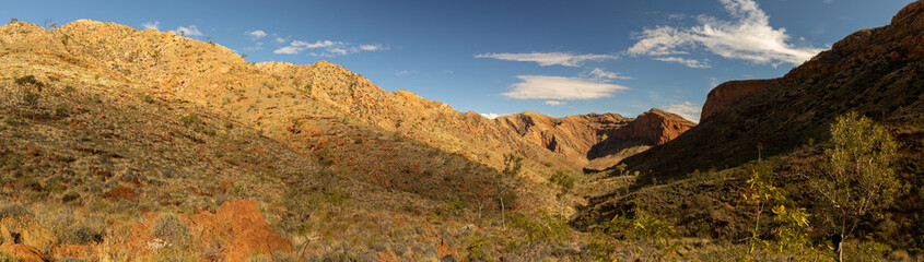 Fototapeta na wymiar canyon Larapinta trail