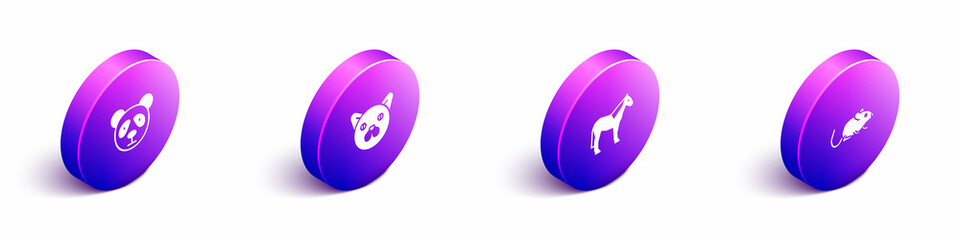 Set Isometric Cute panda face, Cat, Horse and Rat icon. Vector © Vadim