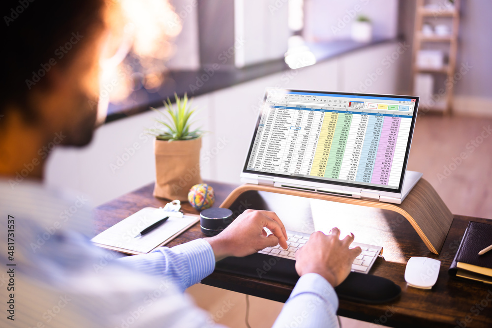 Poster Electronic Spreadsheet Analyst Or Auditor Using Software