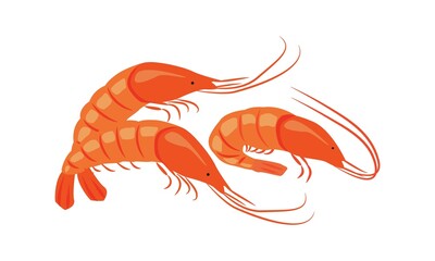 Shrimps. Seafood. Vector illustration for the menu of fish restaurants, for packaging in markets and shops.