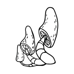 Mushrooms in doodle style. Hand drawn illustration.