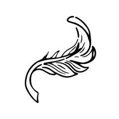 Feather in doodle style. Hand drawn illustration.
