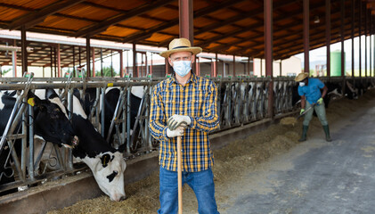 Fototapeta na wymiar Portrait of confident young male farmer wearing protective face mask for disease protection posing in outdoor cowshed at dairy farm on summer day