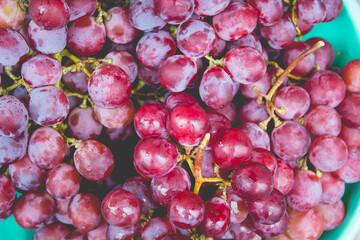 Red grape with water drops, close-up background