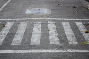 zebra crossing on the road crossing