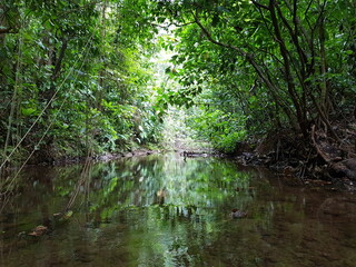 An unnamed river from a very remote location in Corcovado National Park in the Osa Peninsula of...