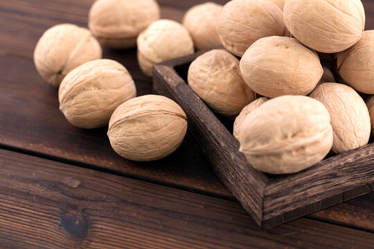 A large dried walnut on a dark background