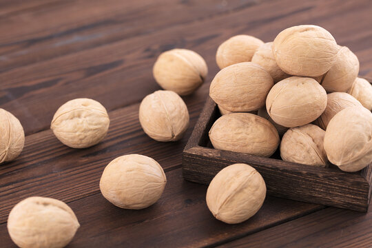 A large dried walnut on a dark background