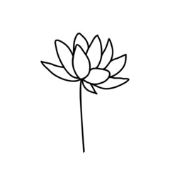 Lotus flower on a white background. Vector illustration in doodle style. Drawn in outline.